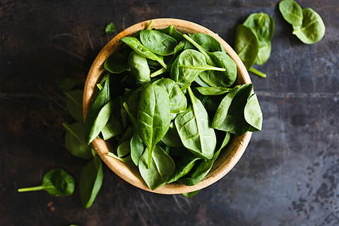 Vegan素食认证整个体系建立一个健康持续世界
