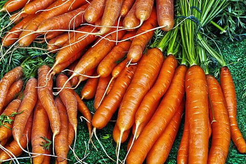 Vegan素食认证纯素食吊牌基本要求