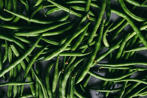  Vegan素食认证对素食植物产品范围标准