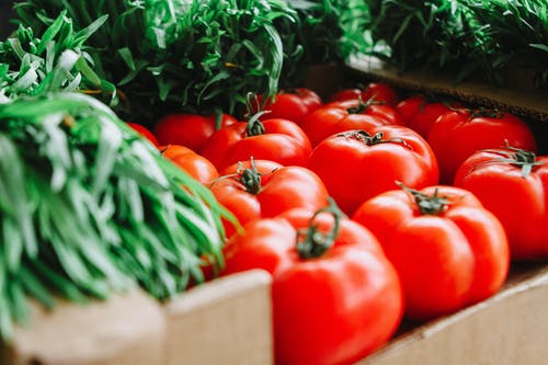 消费者供应商产品支持Vegan素食商标基本要求