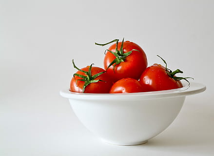 素食认证纯素园艺对素食消费者标准规范