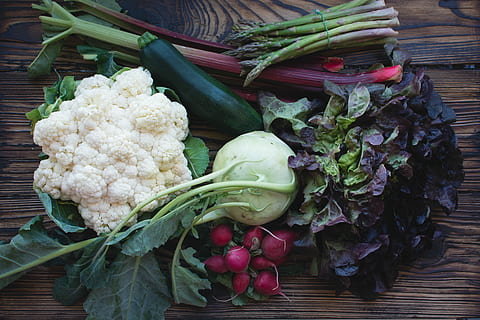 Vegan素食认证成本效益营养丰富的纯素餐