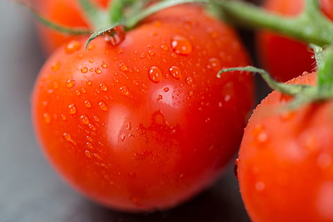 Vegan素食认证让非素食人群环境能源重要性