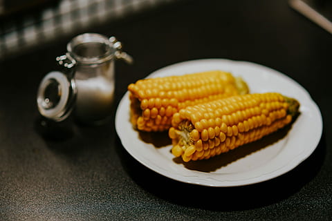 Vegan素食认证助力可持续发展贡献力量