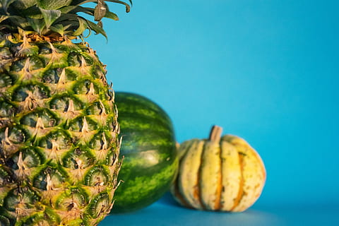素食认证对食品加工植物食品树立绿色低碳生活