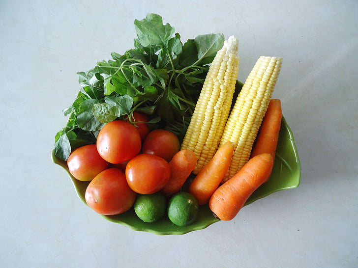 Vegan素食认证对素食可持续发展文化对气候改善益处