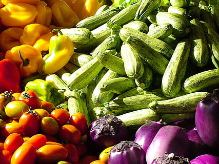 素食认证对可持续蔬果种植方法基本要求标准