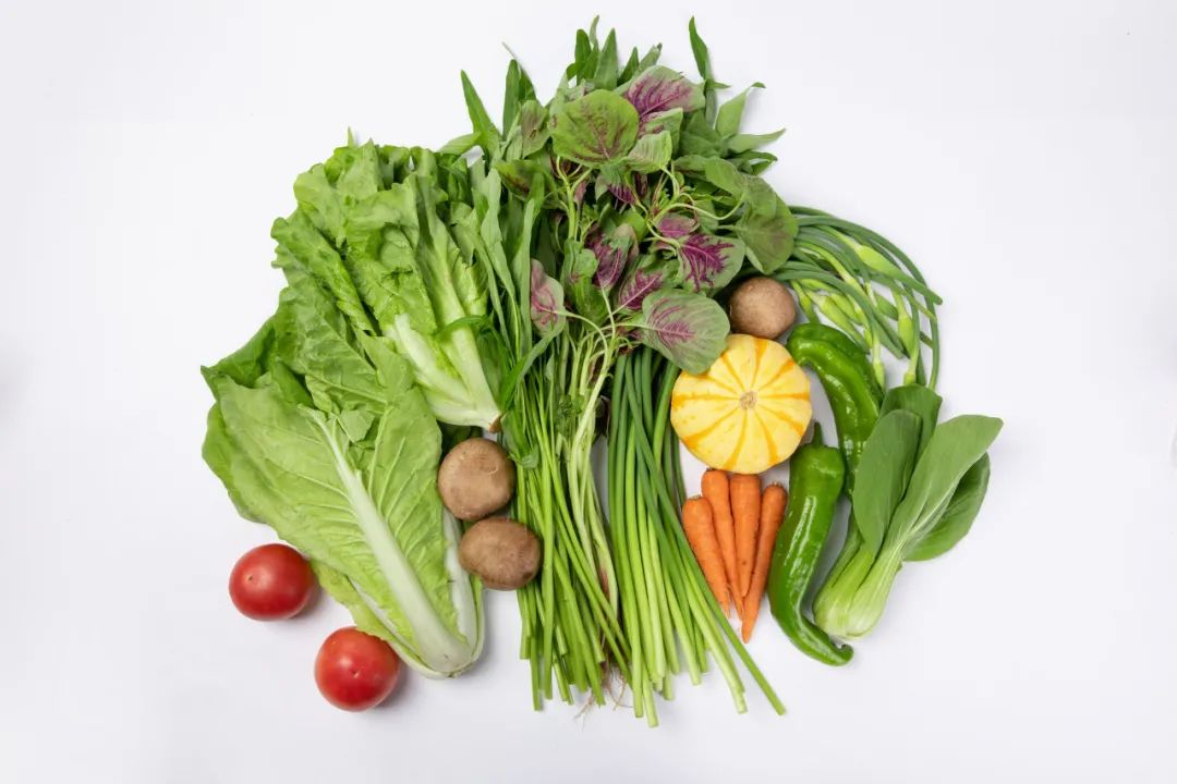 Vegan素食对素食消费者减少食品碳减排好处