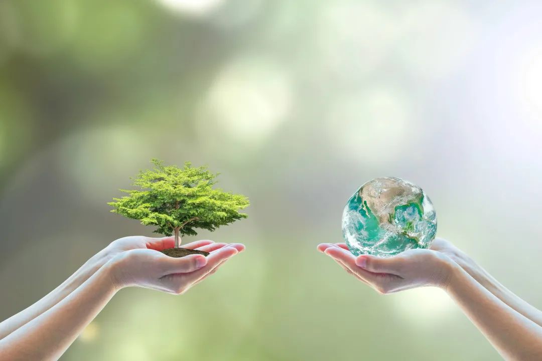 纯素食认证对可持续素食供应链产品吊牌标志
