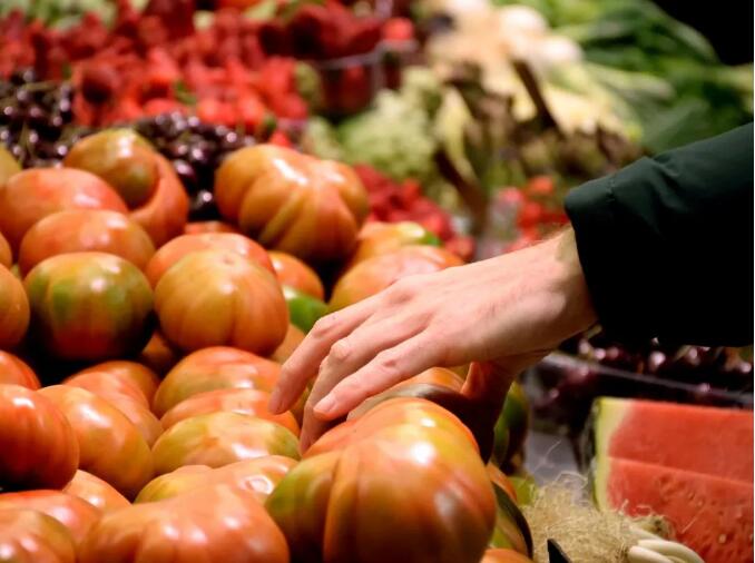 Vegan吊牌商标对可持续素食产品行业碳排放理念