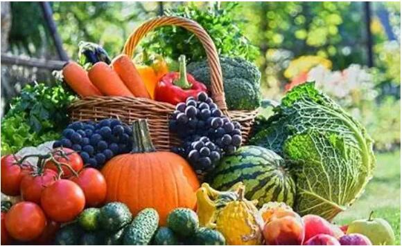 Vegan商标对素食产品减少温室气体碳排放规范