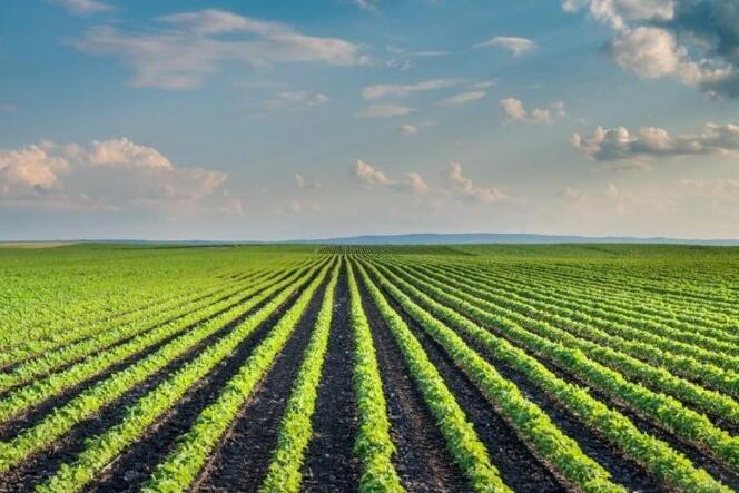 Vegan认证对素食消费者保护地球生态环境理念