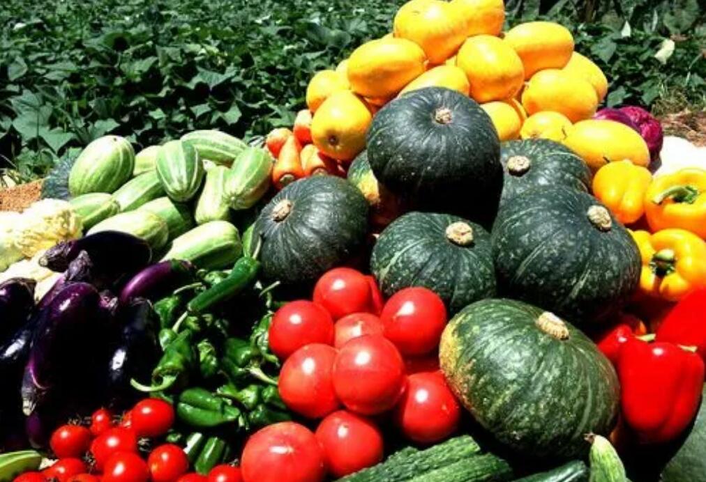 Vegan素食认证对素食消费者素食菜单范围清单