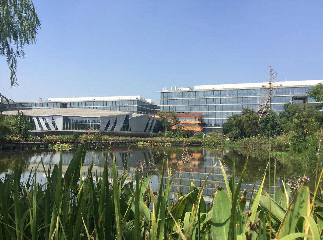Vegan素食认证目前在全球不同行业碳排放可持续发展