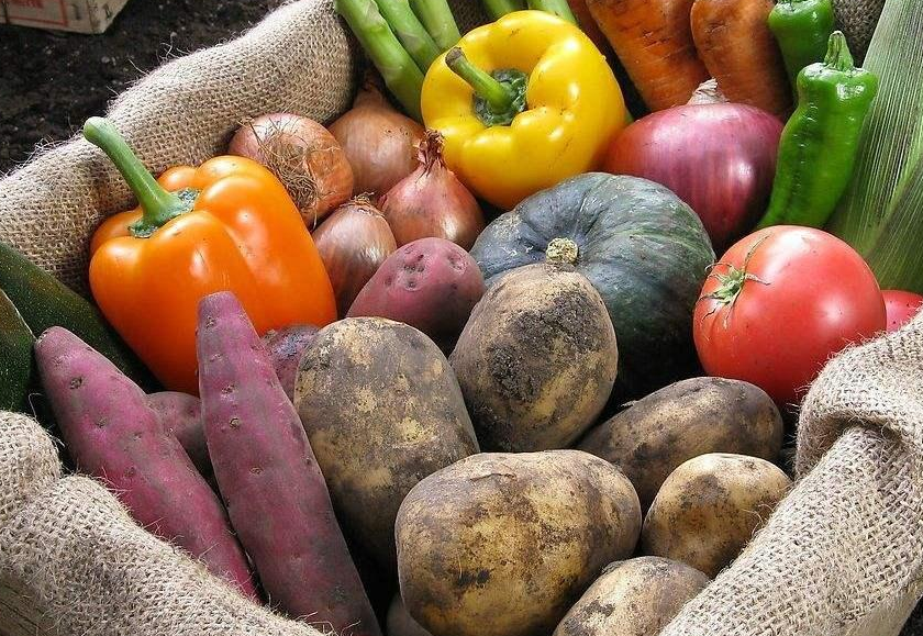 Vegan素食认证对植物性纯素食产品减少温室碳排放