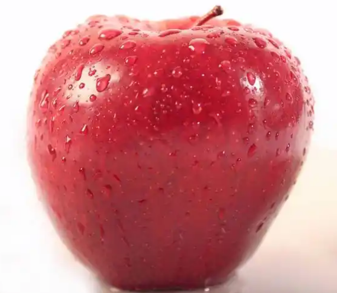 vegan素食认证的标准对吃纯素吃消费者核心标准范围
