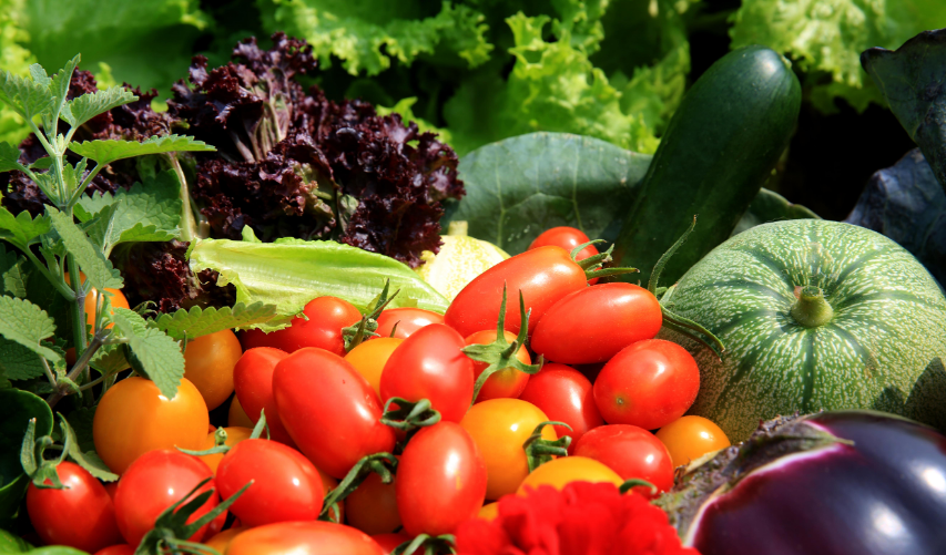 vegan素食认证对纯素食产品助力构建更低碳素食标准