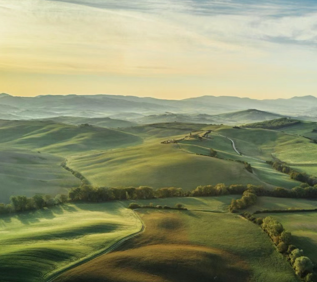 vegan素食认证对纯素食原材料生产周期可持续发展