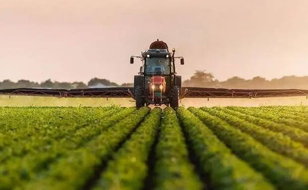 vegan素食认证对素食原材料帮助素食消费者低碳绿色发展