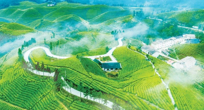 Vegan素食​对素食生产链加工规范是保障产品合规核心