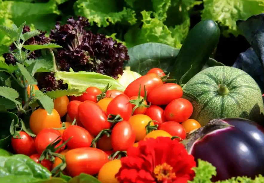 vegan素食认证对纯素产品生产环节碳减排规范标准