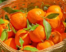 Vegan素食对食品加工不得含有动物及碳减排标准